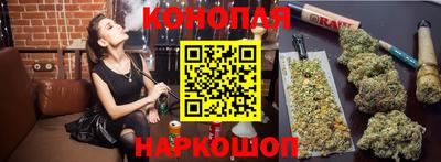 амф Донской