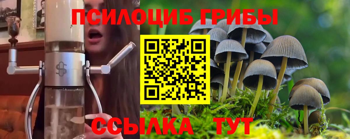 Псилоцибиновые грибы Cubensis  Вход с VPN  Луга 