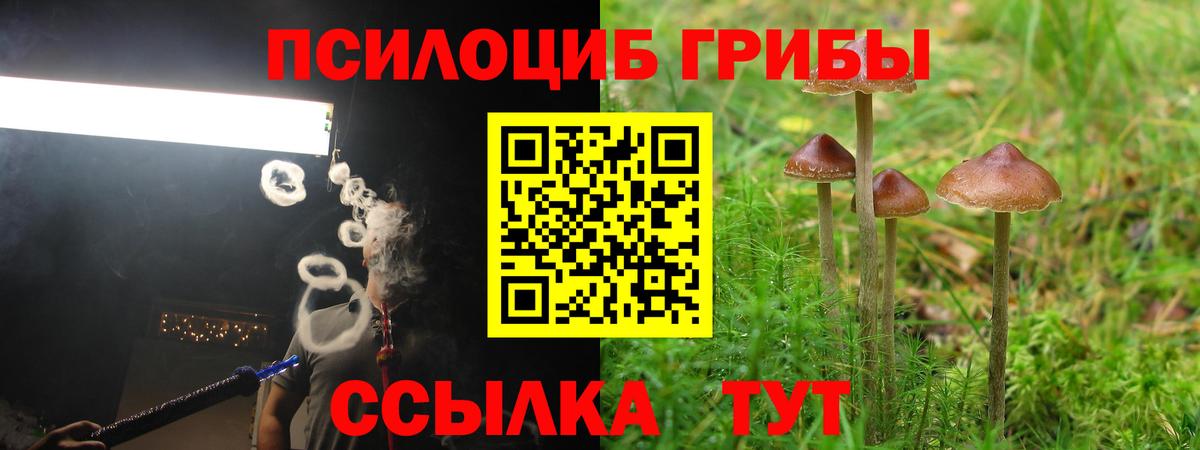 Псилоцибиновые грибы ЛСД Луга