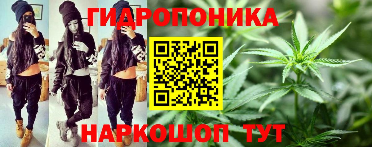 Каннабис Ganja Луга